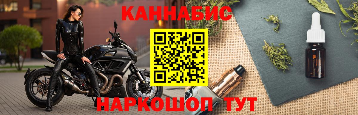 Канабис сатива Старая Русса